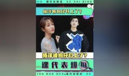 综艺娱乐圈吃瓜爆料小说,揭秘幕后真相，吃瓜群众狂欢盛宴