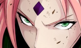 百豪小樱爆料视频,揭秘幕后故事与精彩瞬间